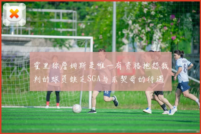 霍里称詹姆斯是唯一有资格抱怨裁判的球员缺乏SGA与东契奇的待遇
