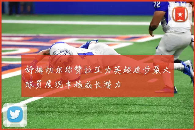 舒梅切尔称赞拉亚为英超进步最大球员展现卓越成长潜力
